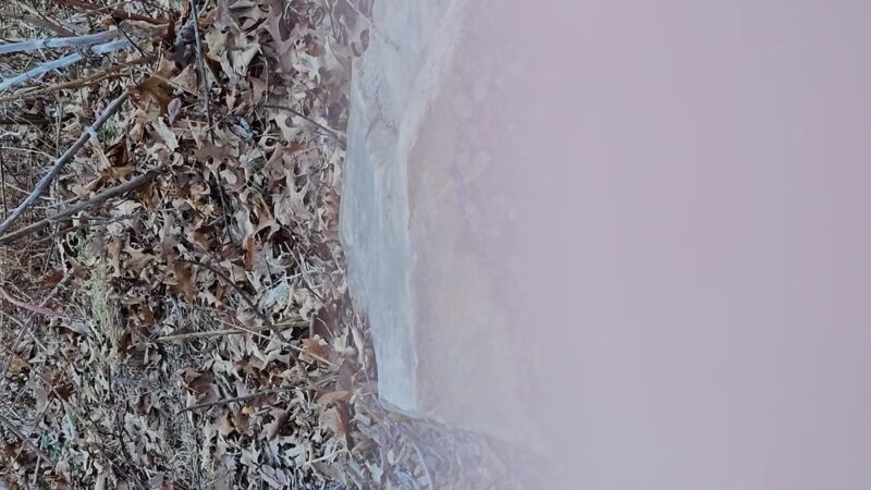 Tuscarora State Forest - Blain, PA