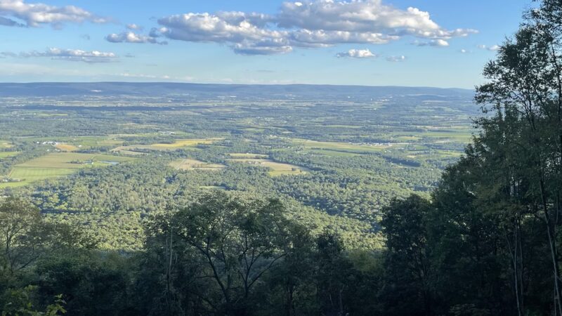 Tuscarora State Forest - Blain, PA
