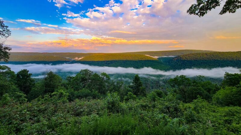 Tuscarora State Forest - Blain, PA