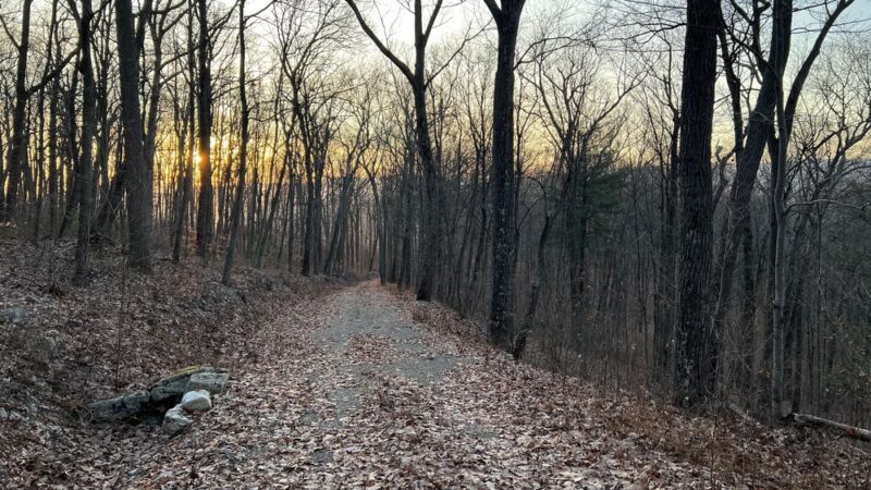 Tuscarora State Forest - Blain, PA
