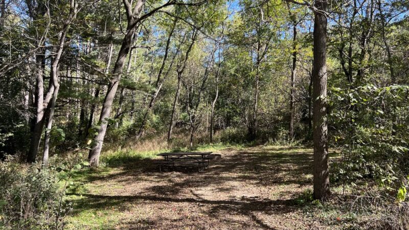 Yellowstone Lake State Park - Blanchardville, WI