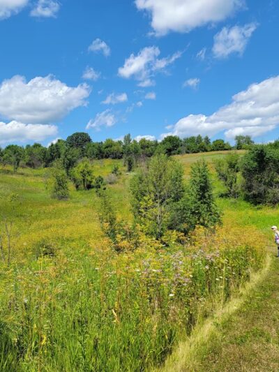 Yellowstone Lake State Park - Blanchardville, WI
