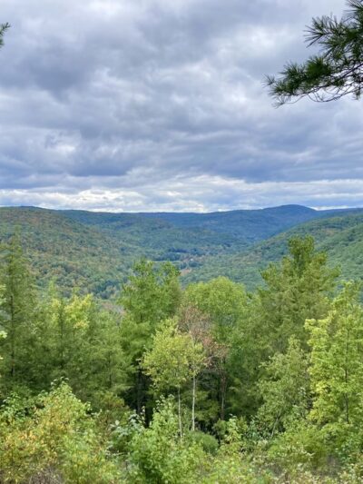 Chester-Blandford State Forest - Blandford, MA