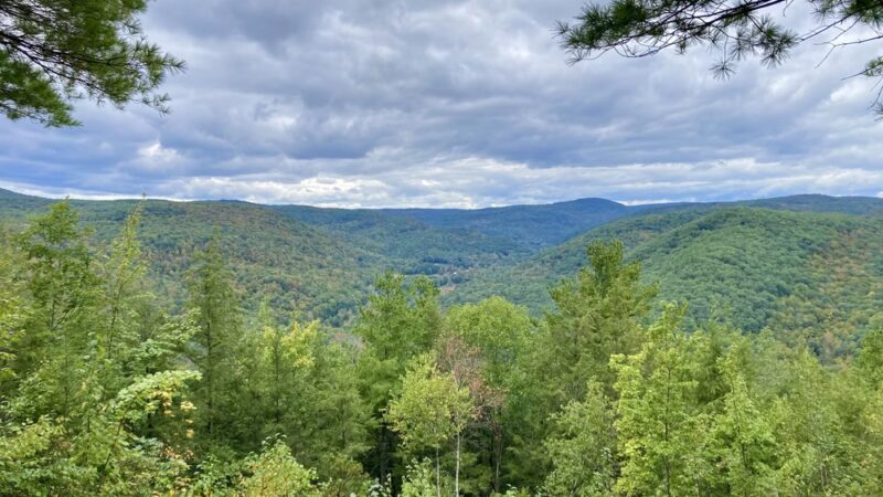 Chester-Blandford State Forest - Blandford, MA