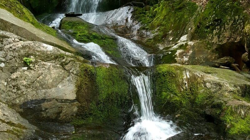 Chester-Blandford State Forest - Blandford, MA