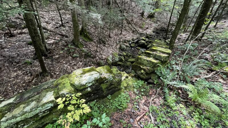 Chester-Blandford State Forest - Blandford, MA