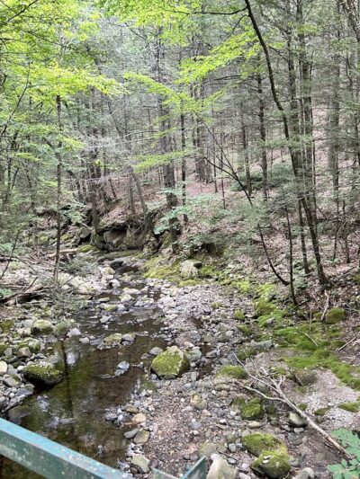 Chester-Blandford State Forest - Blandford, MA