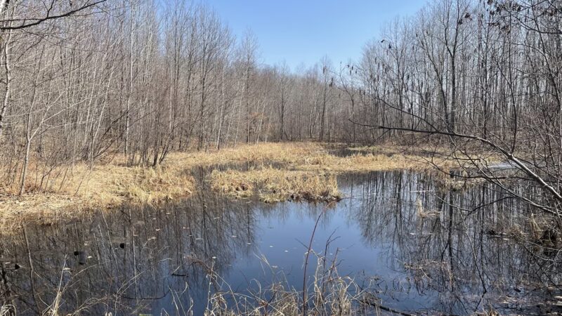 Hickory Ridge Trail Head - Bloomer, WI