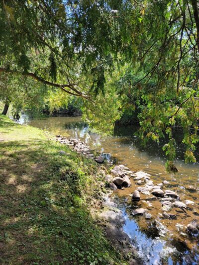 Willis Park - Bloomer, WI