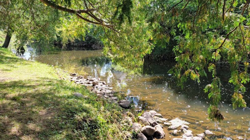 Willis Park - Bloomer, WI