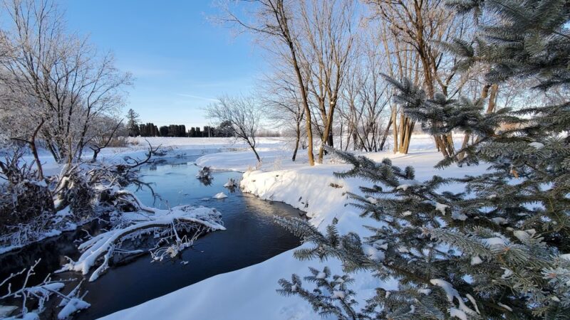 Witt Park - Bloomer, WI