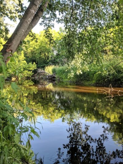 Witt Park - Bloomer, WI