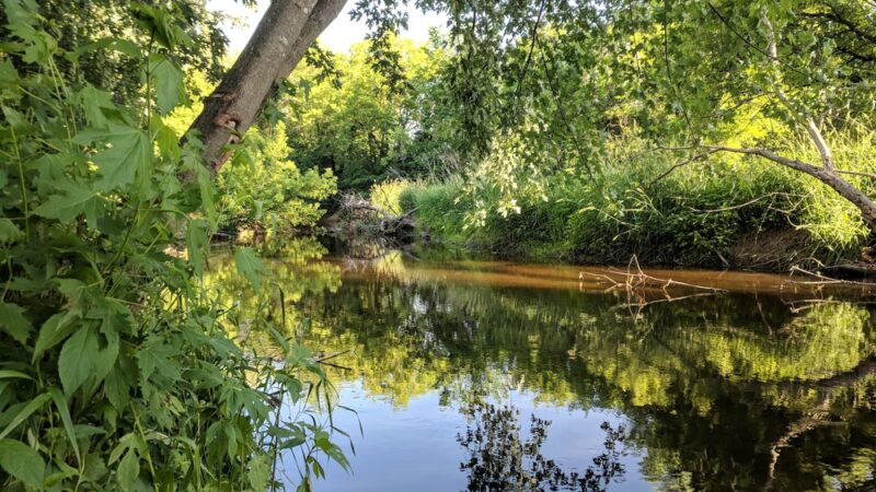 Witt Park - Bloomer, WI