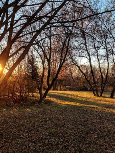Witt Park Pavilion - Bloomer, WI
