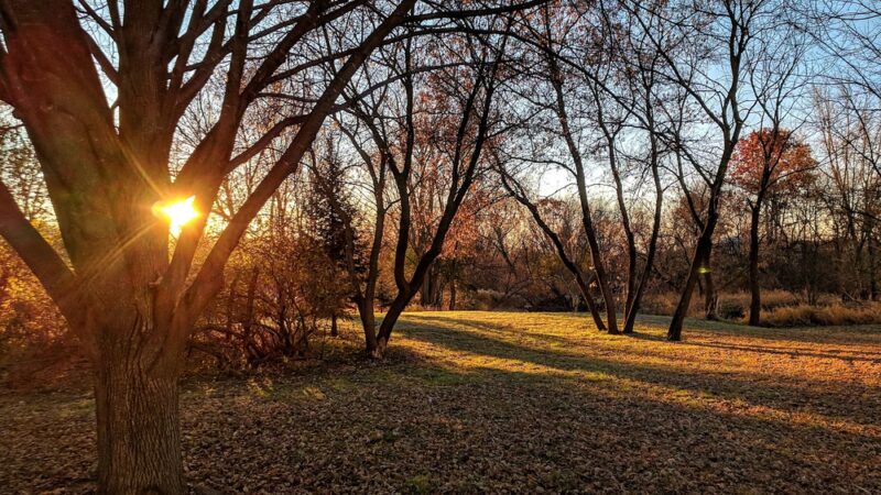 Witt Park Pavilion - Bloomer, WI