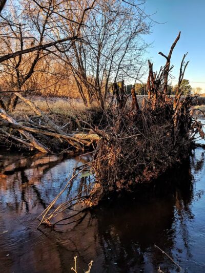 Witt Park Pavilion - Bloomer, WI