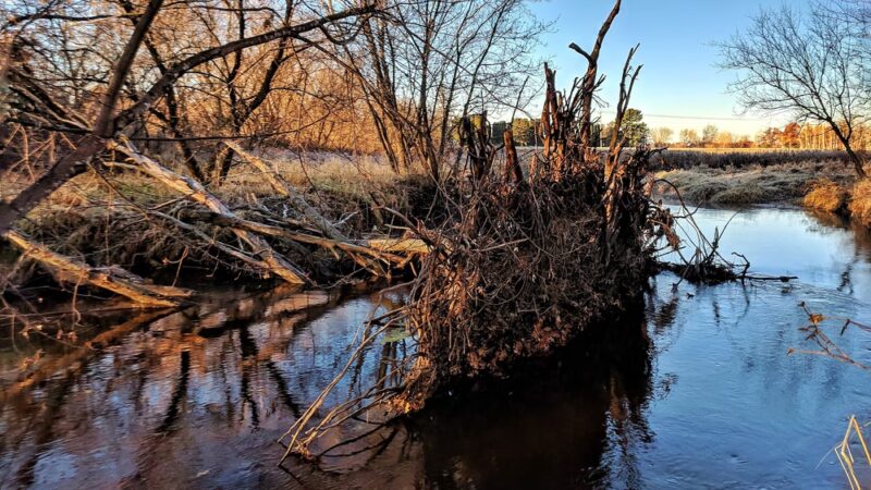 Witt Park Pavilion - Bloomer, WI