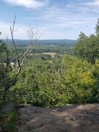 Marion K Wilcox Park - Bloomfield, CT