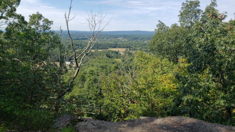 Marion K Wilcox Park - Bloomfield, CT