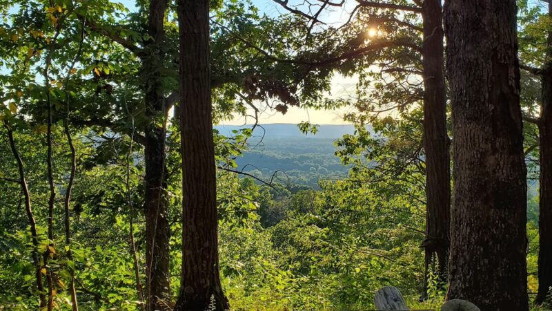 Marion K Wilcox Park - Bloomfield, CT
