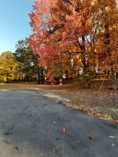Bloomfield City Park - Bloomfield, MO