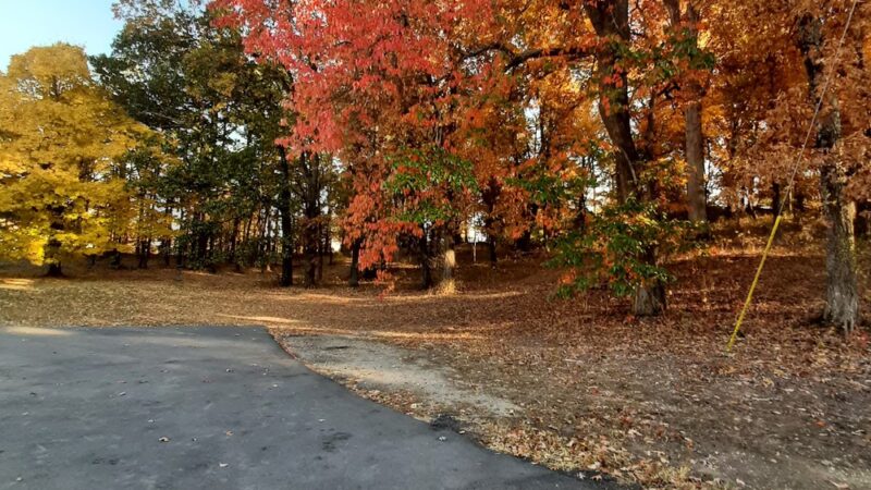 Bloomfield City Park - Bloomfield, MO