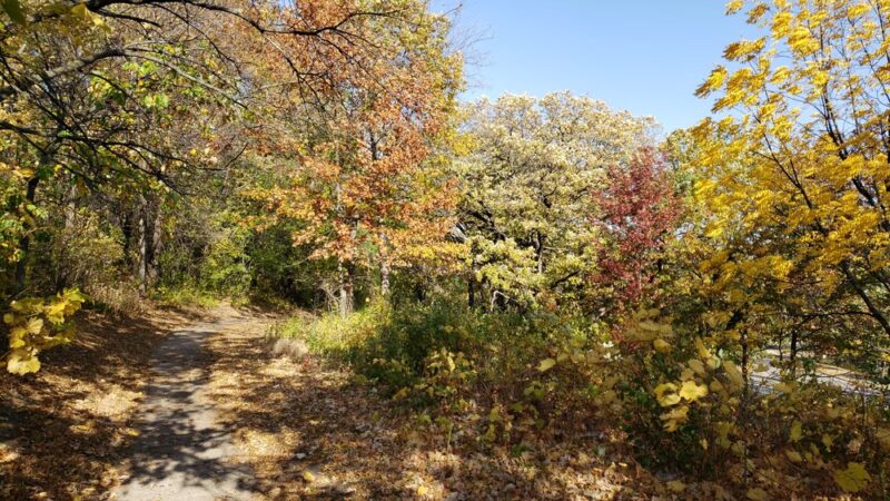 Collegeview Park - Bloomington, MN