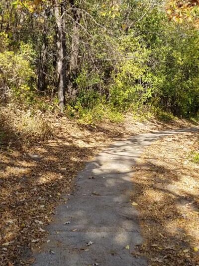 Collegeview Park - Bloomington, MN