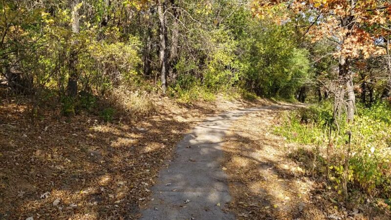 Collegeview Park - Bloomington, MN