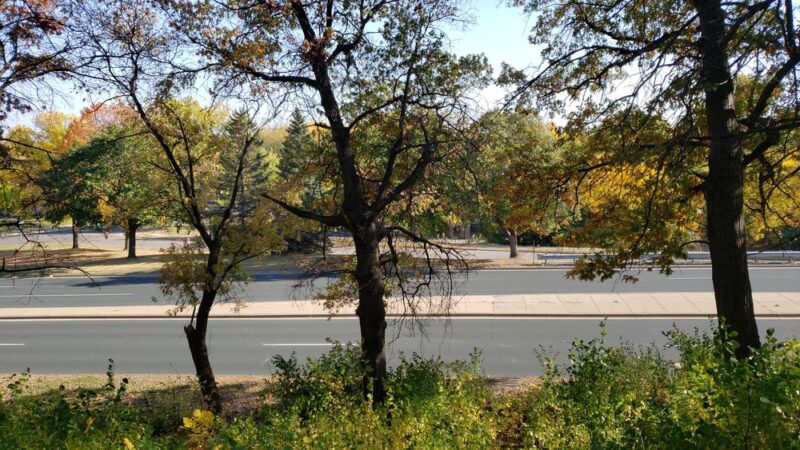 Collegeview Park - Bloomington, MN