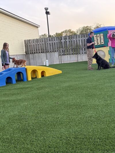 Four Paws Playground-- Doggie Daycare, Crateless Boarding, Puppy Wednesday and Training - Bloomsbury, NJ