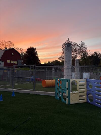 Four Paws Playground-- Doggie Daycare, Crateless Boarding, Puppy Wednesday and Training - Bloomsbury, NJ