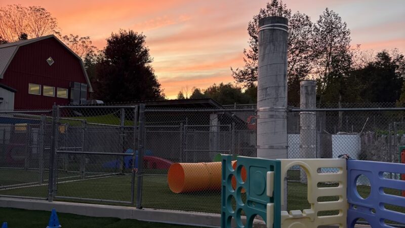 Four Paws Playground-- Doggie Daycare, Crateless Boarding, Puppy Wednesday and Training - Bloomsbury, NJ