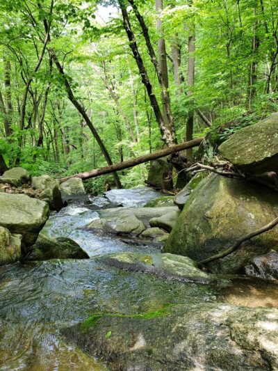 Musconetcong Gorge - Bloomsbury, NJ