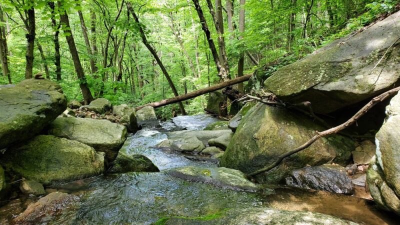 Musconetcong Gorge - Bloomsbury, NJ