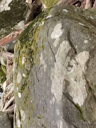 Musconetcong Gorge - Bloomsbury, NJ