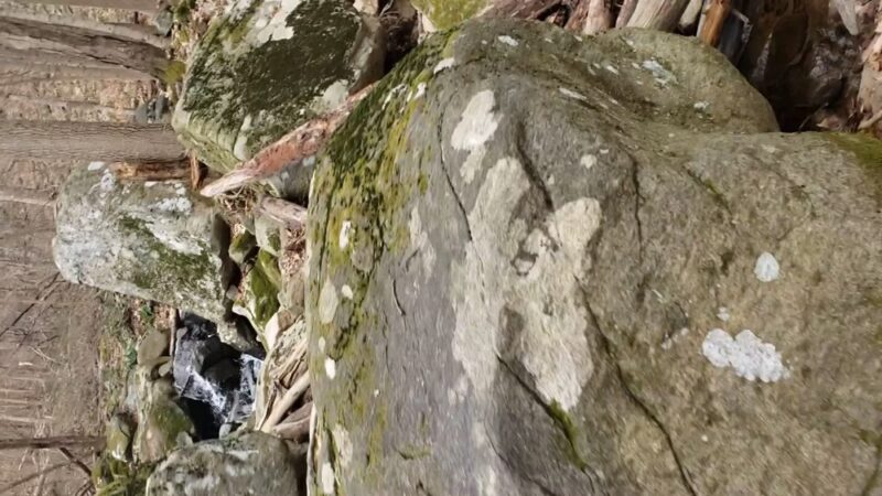 Musconetcong Gorge - Bloomsbury, NJ