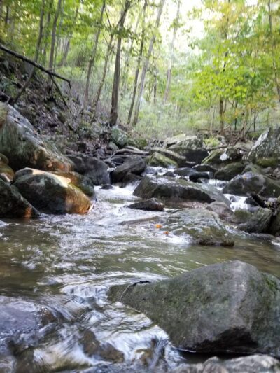 Musconetcong Gorge - Bloomsbury, NJ