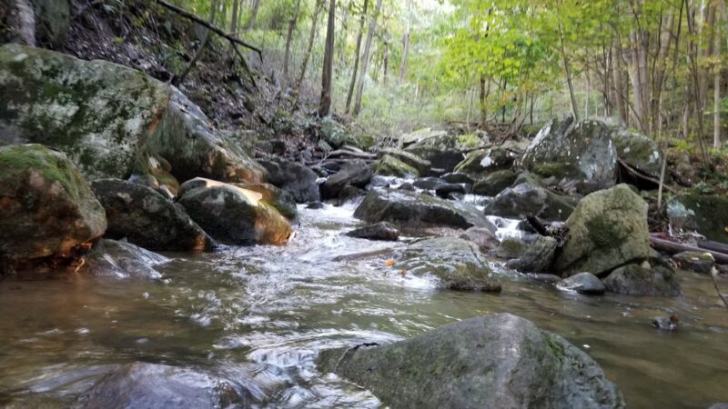 Musconetcong Gorge - Bloomsbury, NJ