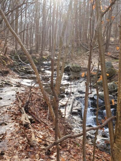 Musconetcong Gorge - Bloomsbury, NJ