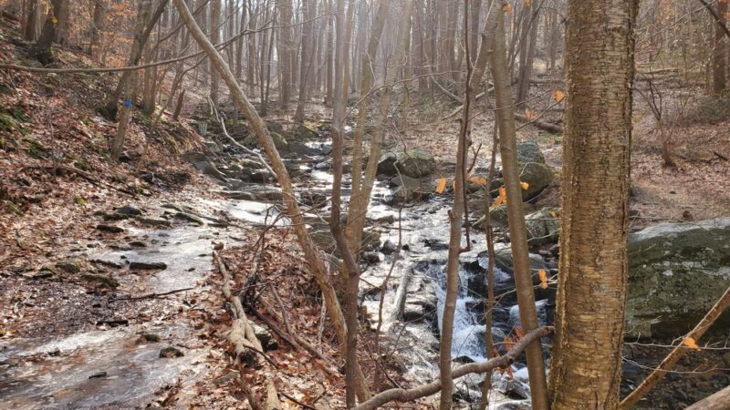 Musconetcong Gorge - Bloomsbury, NJ