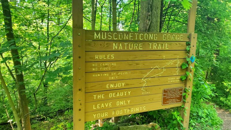 Musconetcong Gorge - Bloomsbury, NJ