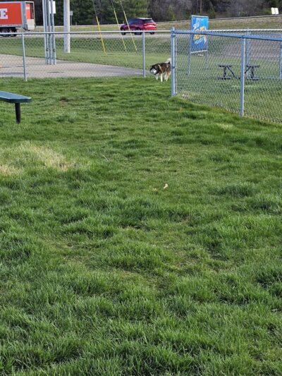 Dog Park at Love’s Travel Stops - Bloomsdale, MO