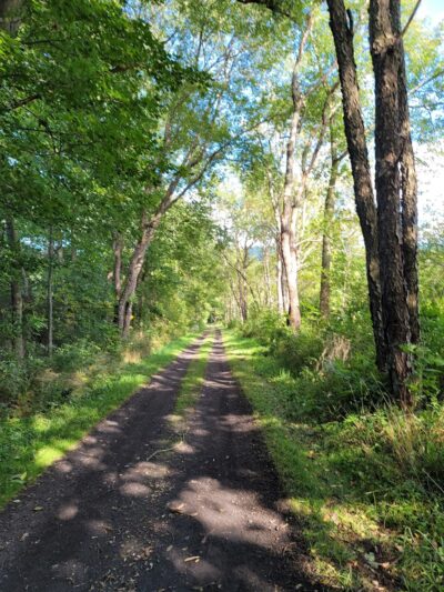 Catskill Scenic Trail - Bloomville, NY