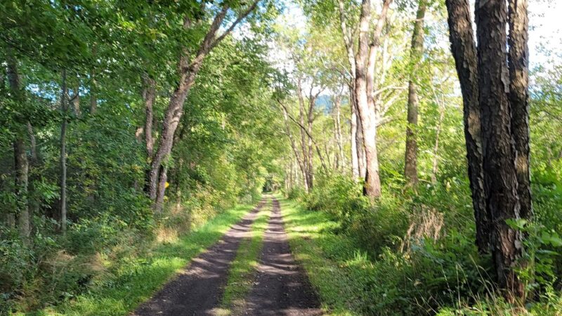 Catskill Scenic Trail - Bloomville, NY