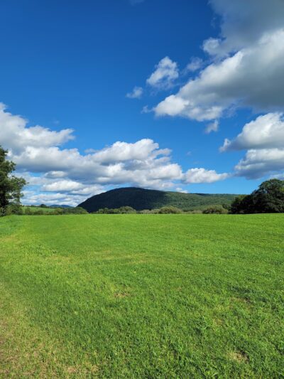 Catskill Scenic Trail - Bloomville, NY