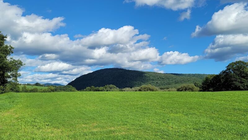 Catskill Scenic Trail - Bloomville, NY