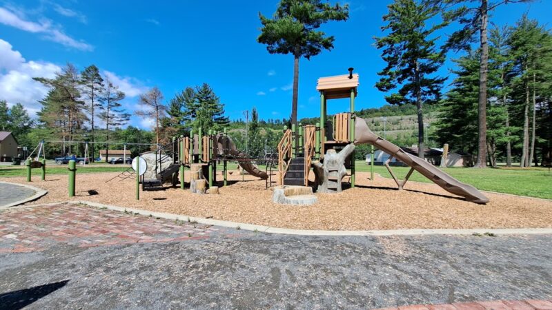 Island Park Blossburg Playground - Blossburg, PA