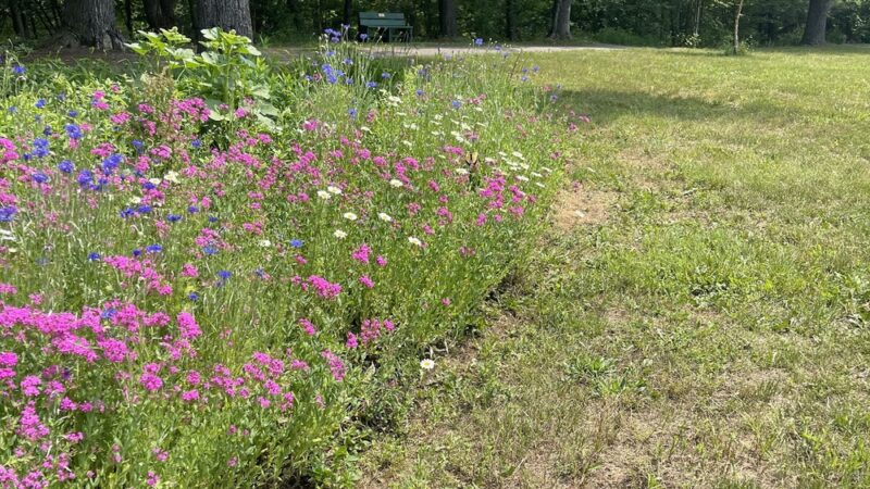 Island Park Riverwalk - Blossburg, PA