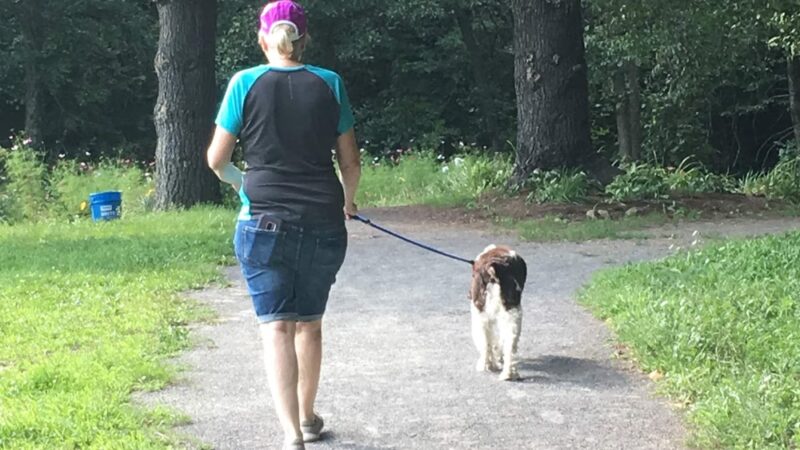 Island Park Riverwalk - Blossburg, PA